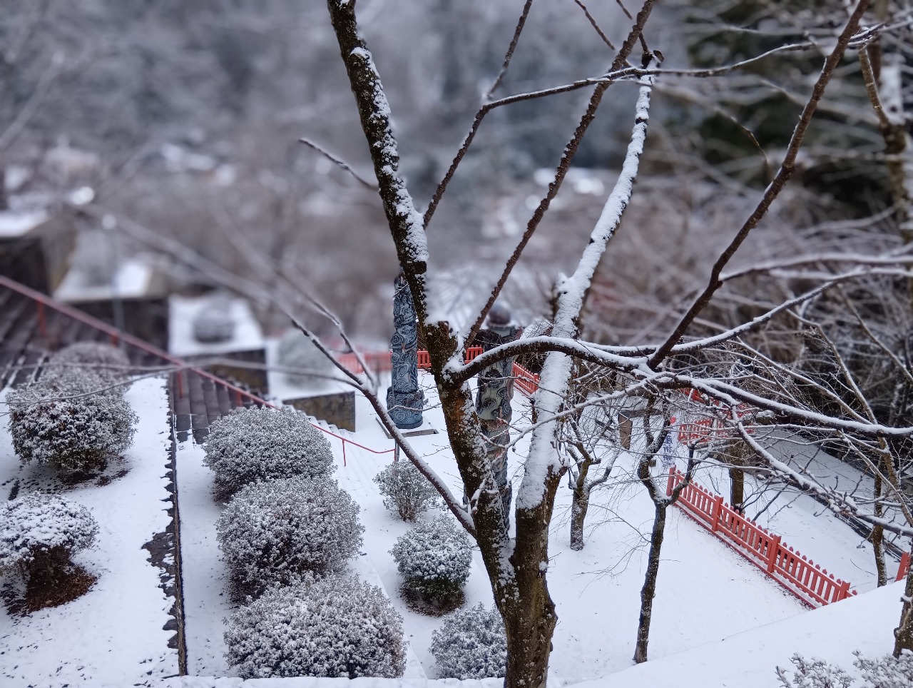 2026年2月7日 雪の様子 :: 御岳山 金櫻神社